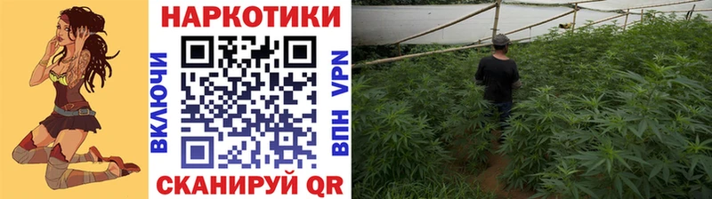 Цена Новый Уренгой ГАШИШ Alpha PVP МЕФ