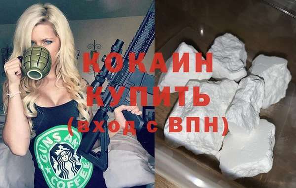 шишки Аркадак
