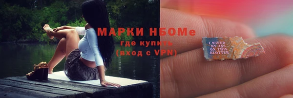 шишки Аркадак