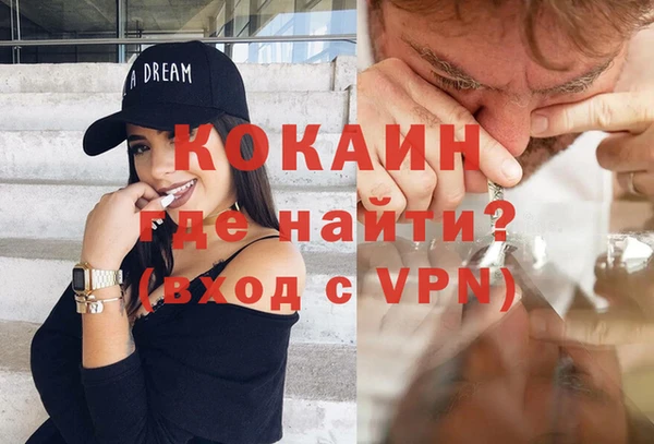 шишки Аркадак