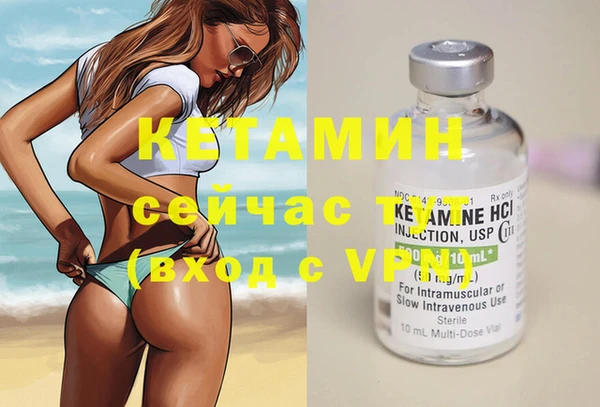 шишки Аркадак
