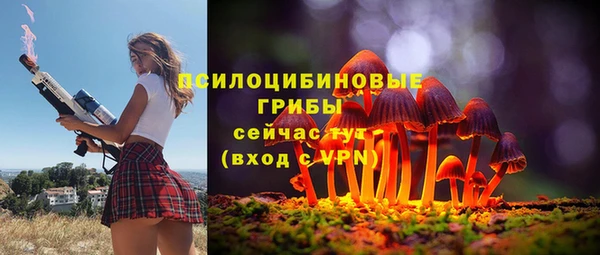 шишки Аркадак