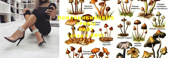 ALPHA-PVP Арсеньев