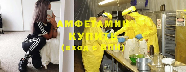 шишки Аркадак