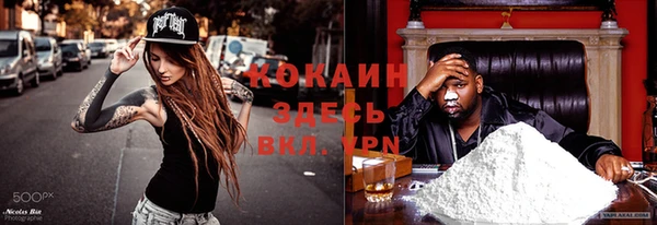 шишки Аркадак