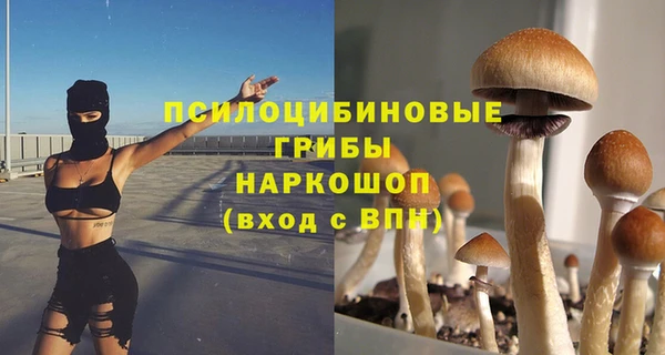 шишки Аркадак